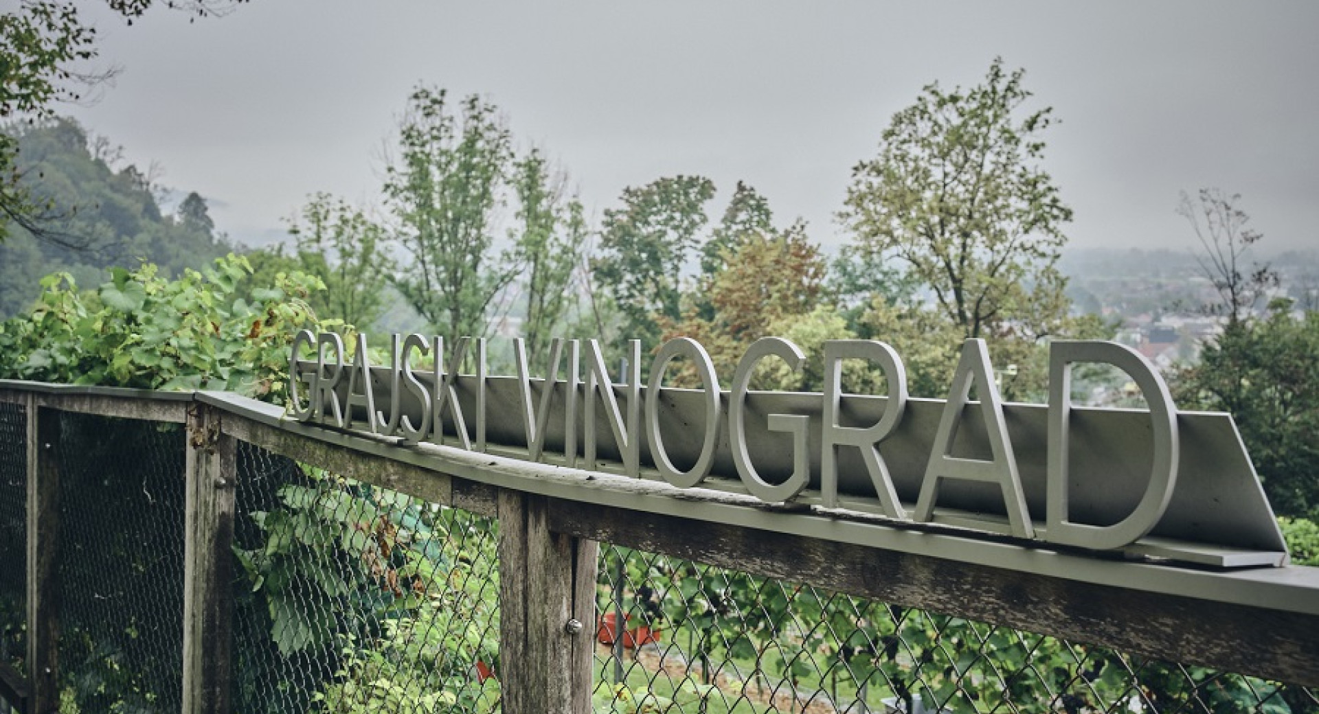 Napis "Grajski vinograd" na ograji vinograda. 