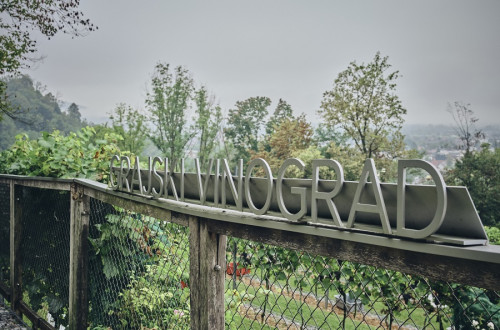 Napis "Grajski vinograd" na ograji vinograda. 
