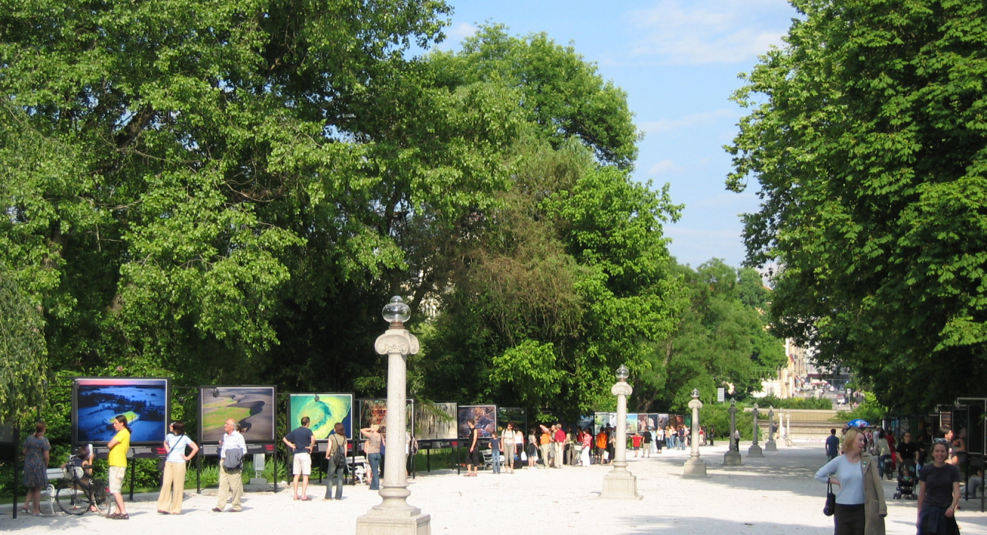 A wide white path with big trees on both sides.