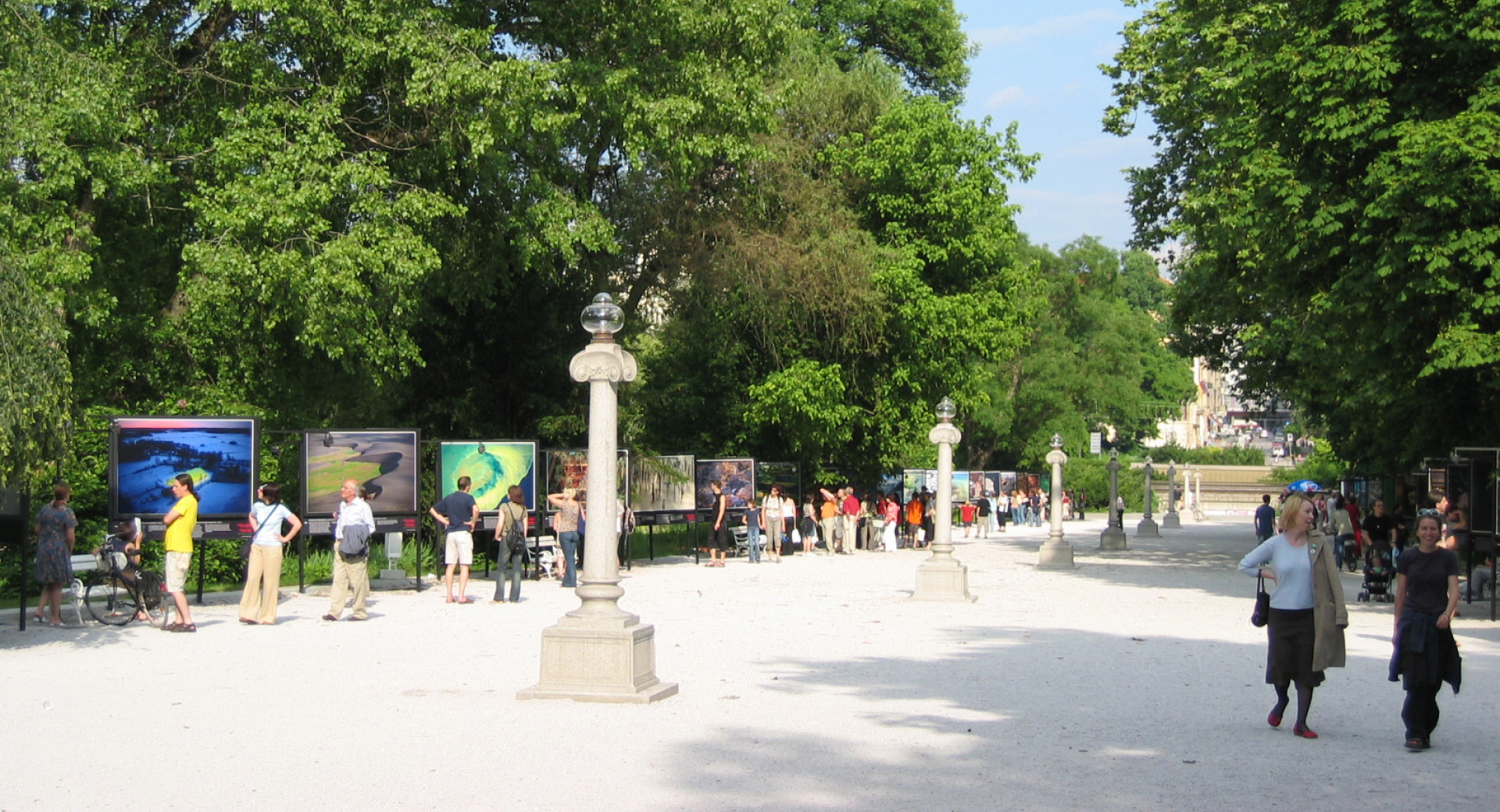 A wide white path with big trees on both sides.