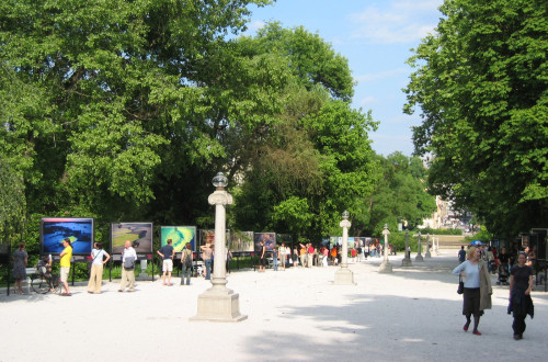 Siroka bela pot z visoki drevesi na obeh straneh.