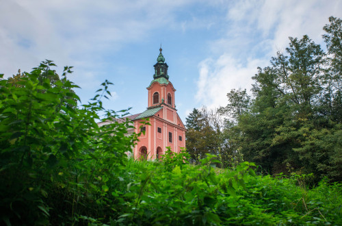 Roznik 2019 Matej Povse