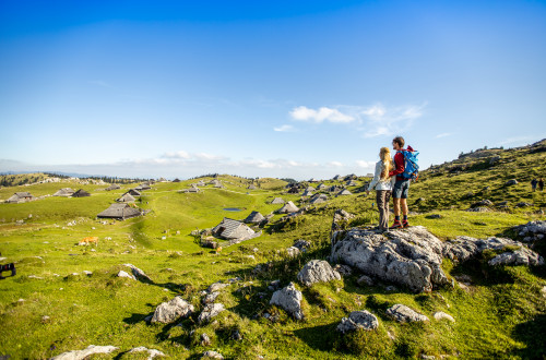 Velika planina 2019 Staderzen 1