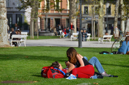 city life zvezda park dunja wedam