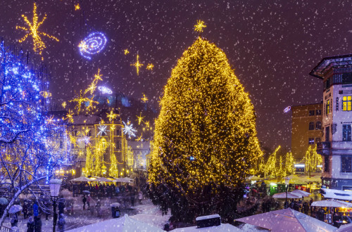 festive decorations snow janez zalaznik