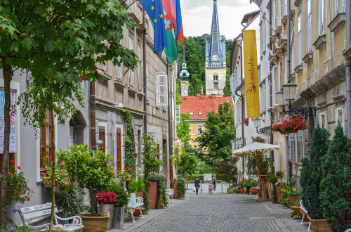 green ljubljana dunja wedam