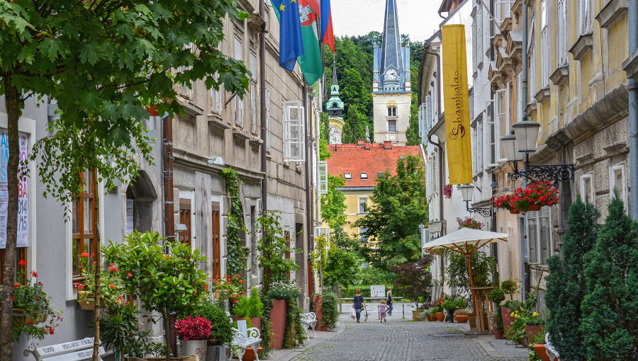 Ozka tlakovana ulica z zgodovinskimi stavbami, cvetličnimi lonci in mimoidočimi, z zvonikom v ozadju podnevi.