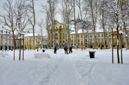 kongresni trg square winter dunja wedam