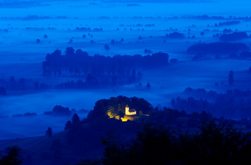 ljubljana marshes in the morning tomo jesenicnik