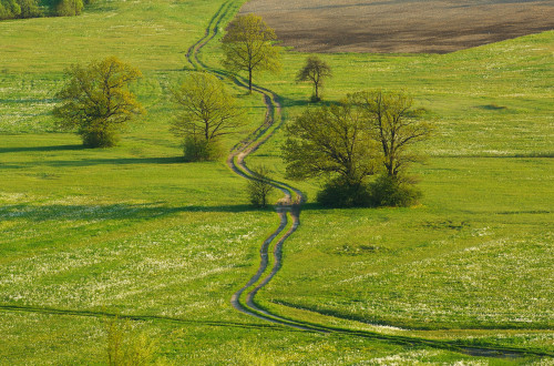planina polje tomo jesenicnik