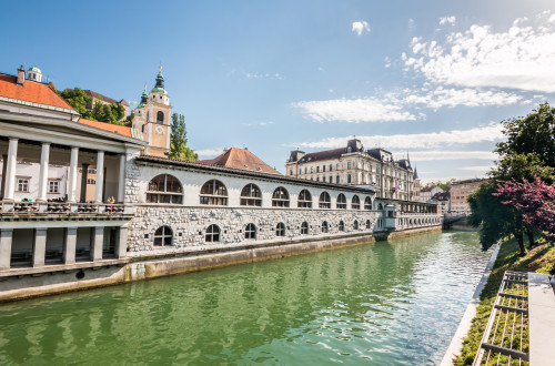 plecniks market ljubljanica river blaz pogacar