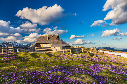 velika planina ana pogacar