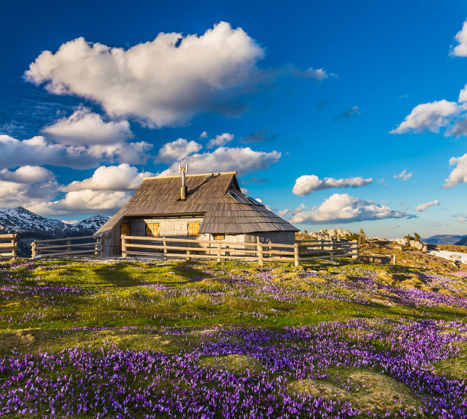 velika planina ana pogacar