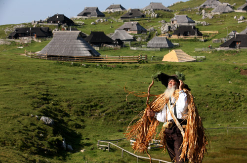 velika planina pasture ales fevzer