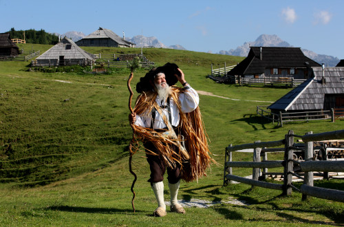 velika planina sheperd ales fevzer