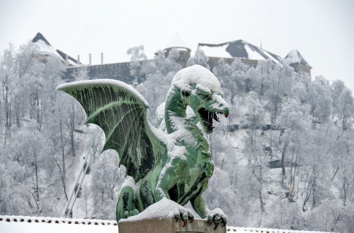 winter dragon bridge dunja wedam