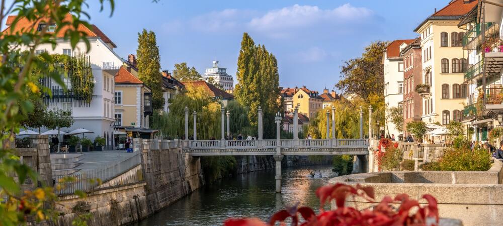 Most čez reko sredi mesta, obdan z drevesi v jesenskih barvah, v ospredju rožnate cvetlice.