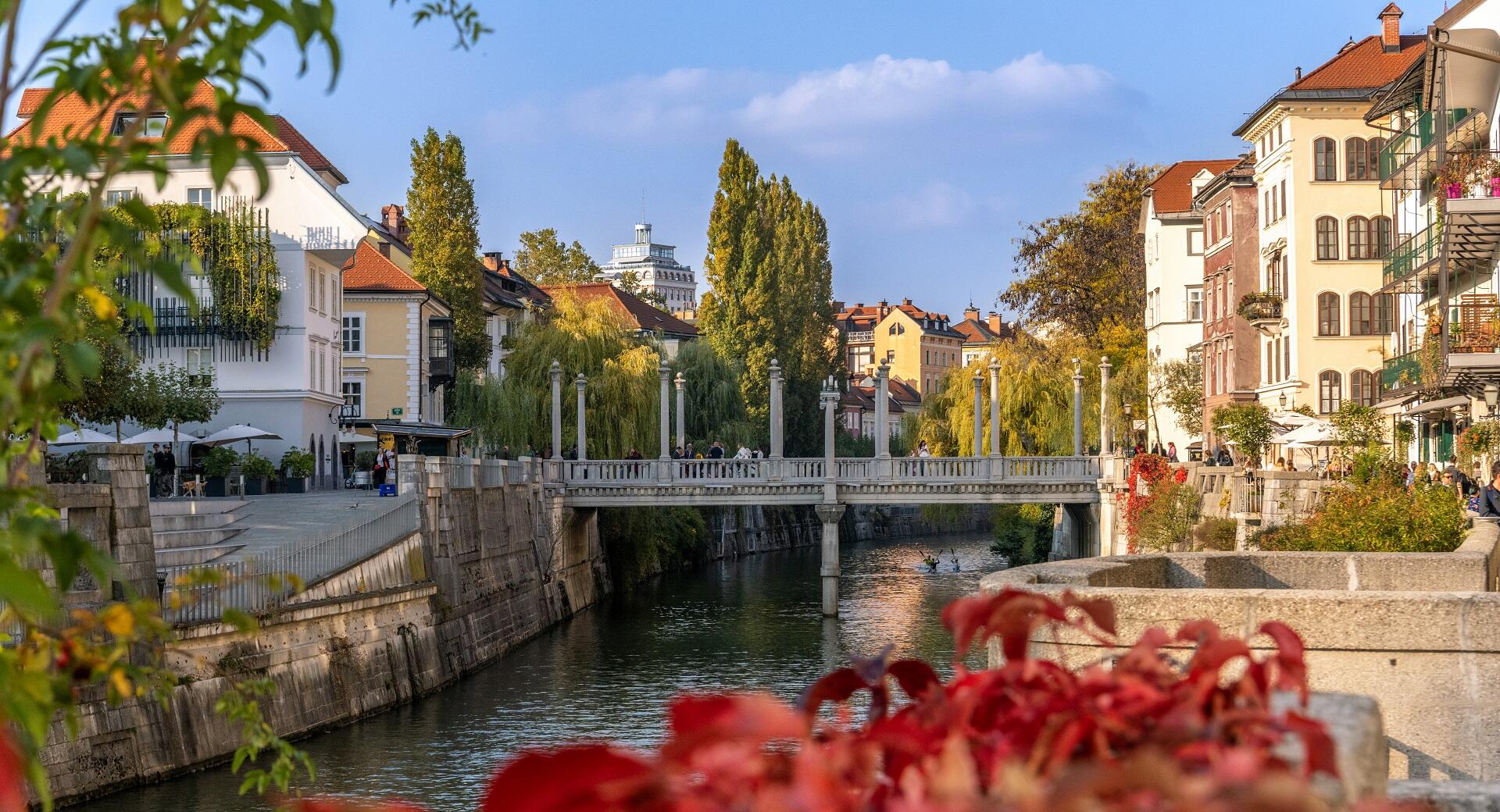 Most čez reko sredi mesta, obdan z drevesi v jesenskih barvah, v ospredju rožnate cvetlice.