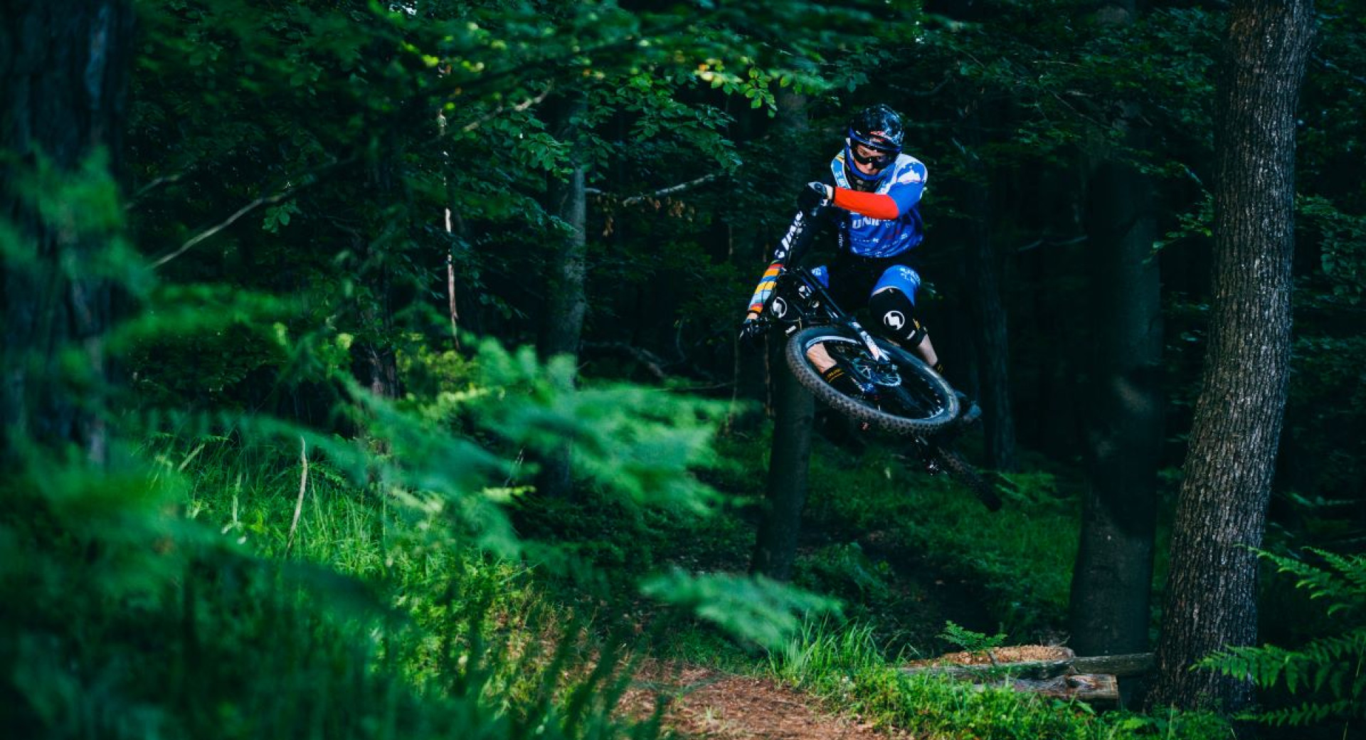 The photo shows a mountain biker jumping on a natural forest trail, surrounded by lush greenery and trees.