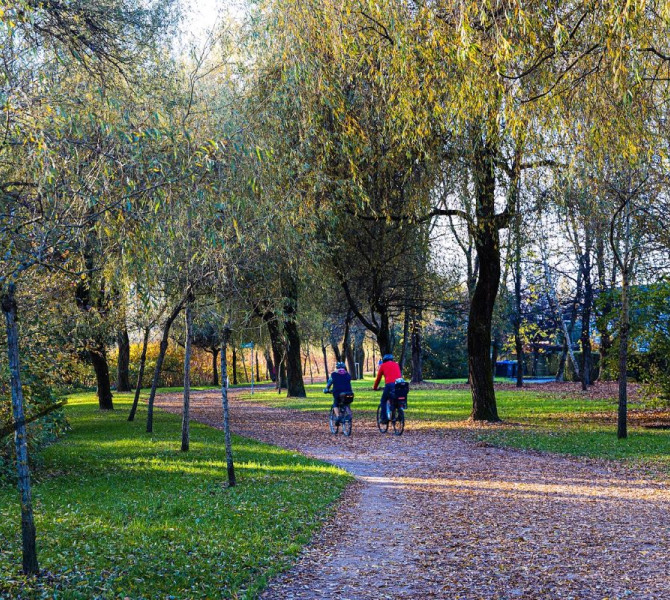 Deux personnes font du vélo le long d’un chemin couvert de feuilles d’automne au milieu du parc.