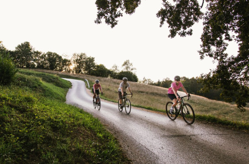 Three cyclists are riding uphill on a narrow country road, surrounded by meadows and trees.