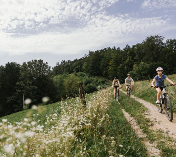 A family is cycling along a well-maintained path through a meadow of flowers.