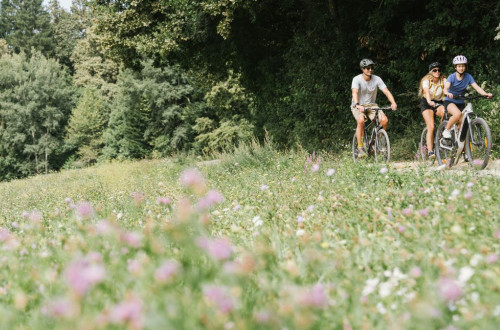 The family is cycling along a well-maintained path through a meadow full of flowers.