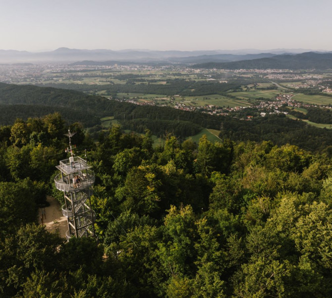 A viewpoint rising above the treetops, offering a view over the inhabited valley.