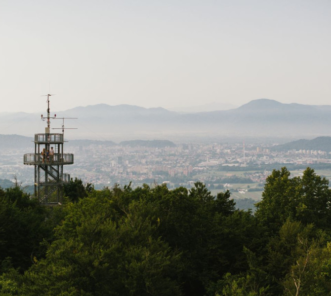 A viewpoint that rises above the treetops and offers a view over the inhabited valley.