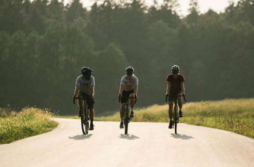 A group of cyclists is riding along a winding road, surrounded by green meadows and forests in the background.