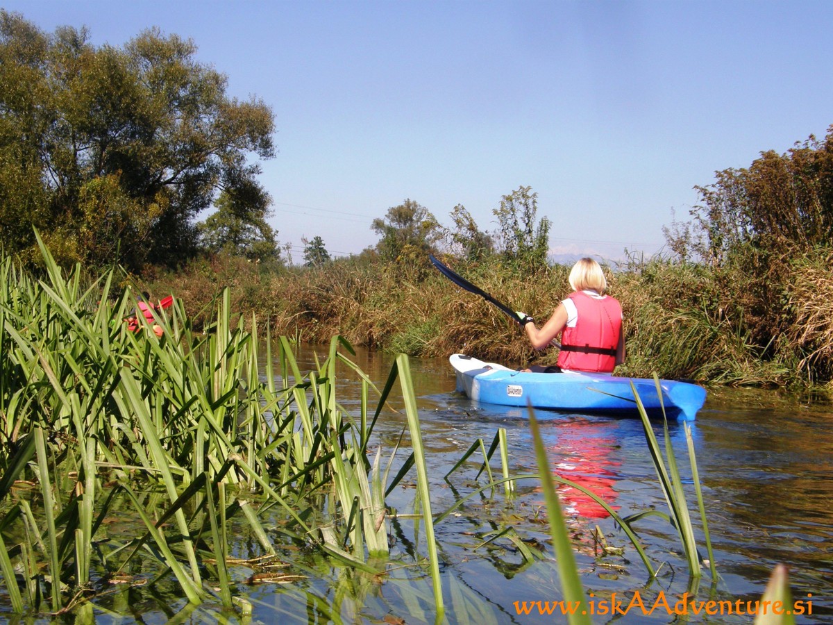 Iska Adventure Veslanje po Ljubljanskem Barju VIII