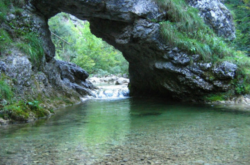 okno iski vintgar