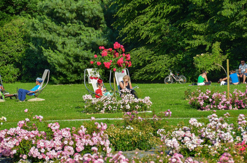 Ljubljana zeleno mesto Rozarij02 D.Wedam