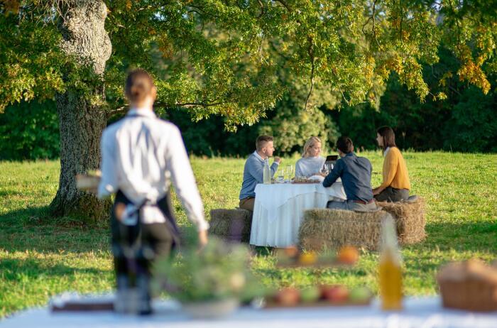 A group of people is enjoying a meal outdoors under a tree on the grass, seated at a table with a white tablecloth, as a waiter approaches them.