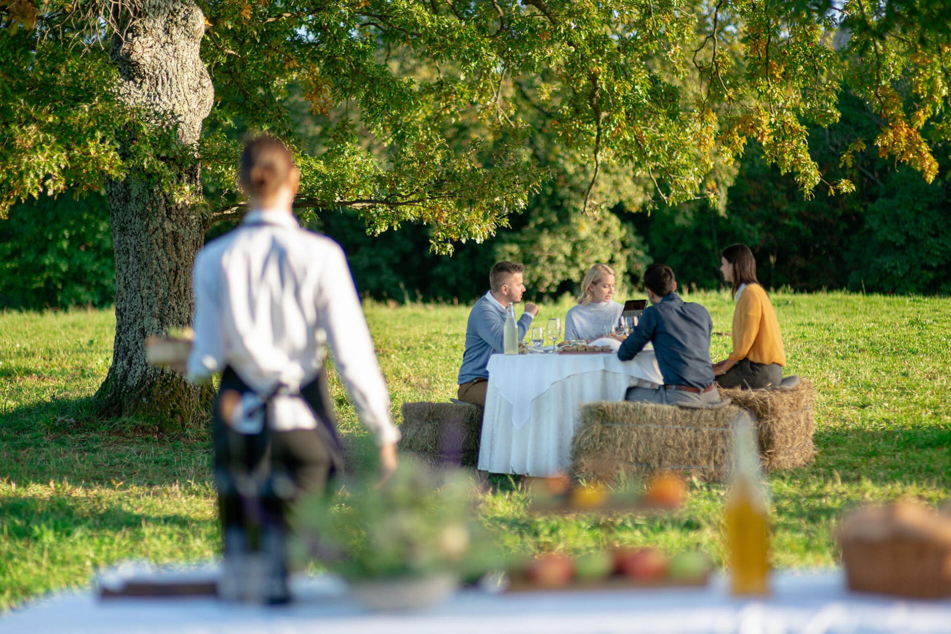 A group of people is enjoying a meal outdoors under a tree on the grass, seated at a table with a white tablecloth, as a waiter approaches them.