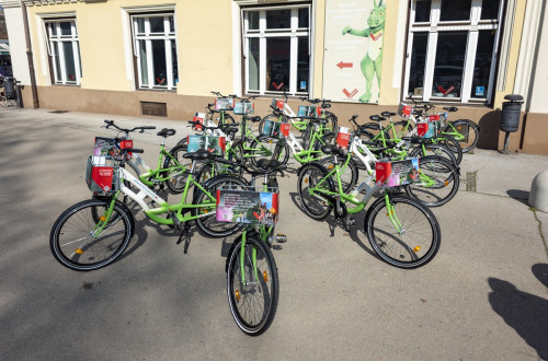 Mnozica zelenih koles s kosarico parkiranih na cesti.