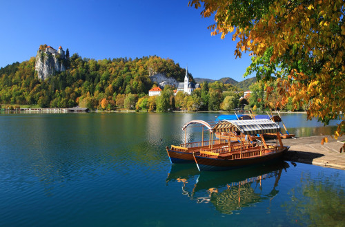 BLED Matej Vranic