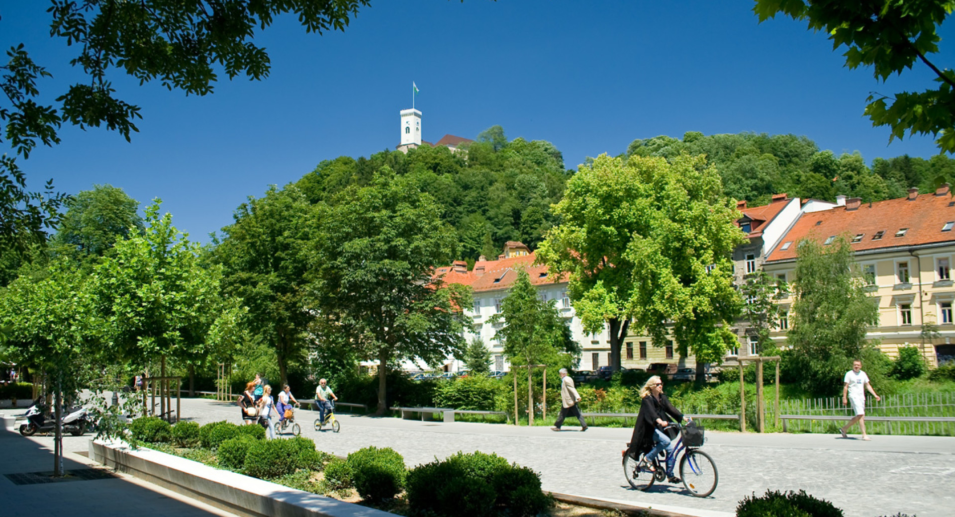 Breg v zelenju. V ozadju stolp grada.