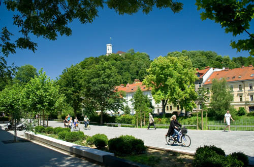 Breg v zelenju. V ozadju stolp grada.