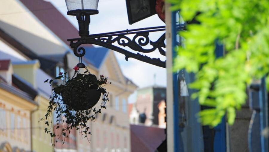 Ocvetličenje starega mestnega jedra Ljubljane