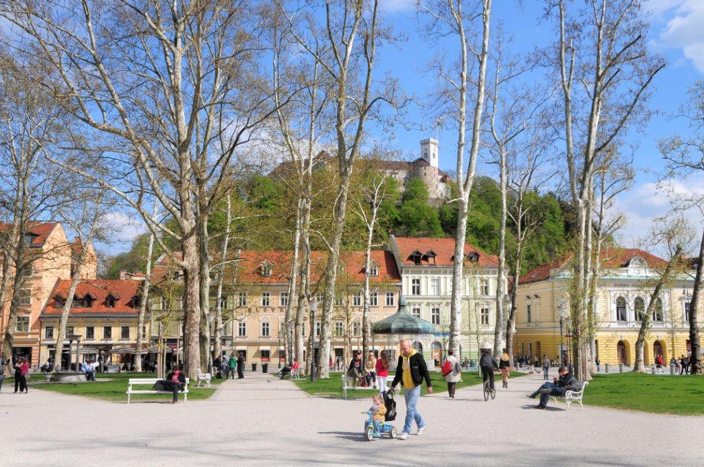 S prihodom pomladi se v Ljubljani začenjajo poletni urniki ogledov in izletov