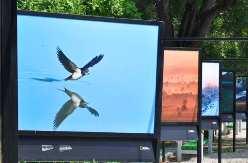 Fotografska razstava National Geographic »Ni nam vseeno: v navdih vsem pri skrbi za naš planet«