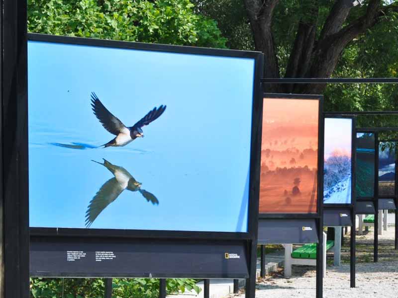 Fotografska razstava National Geographic »Ni nam vseeno: v navdih vsem pri skrbi za naš planet«