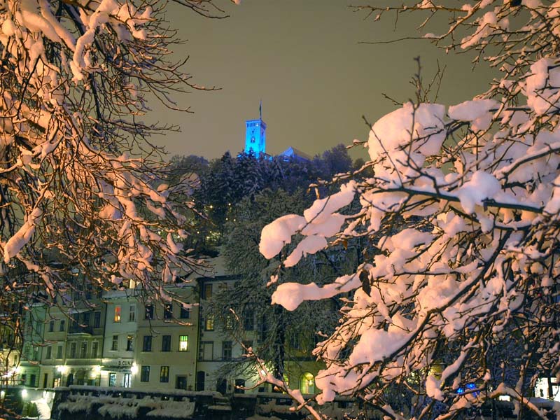 Januar 2013 podobno kot lanski januar z manj nočitvami