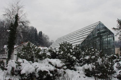 Tropski razgledi sredi bele Ljubljane – zimsko obarvan Botanični vrt