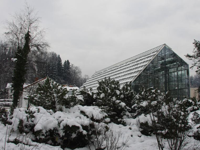 Tropski razgledi sredi bele Ljubljane – zimsko obarvan Botanični vrt