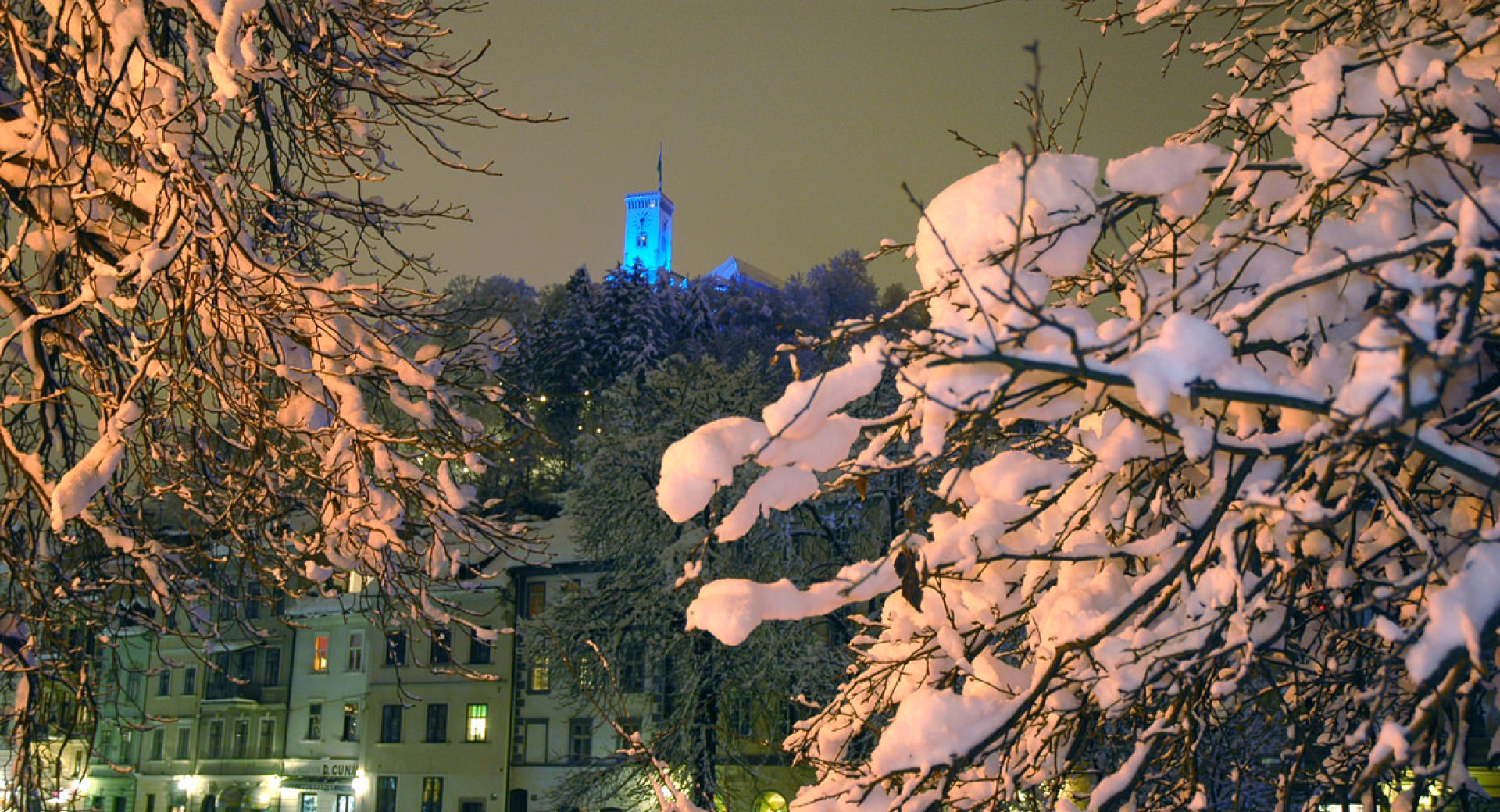 Ljubljanski grad med zasneženimi vejami.