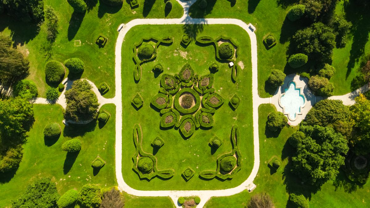 Park planting from a bird's-eye view. A combination of shrub and tree plantings integrated with pathways.