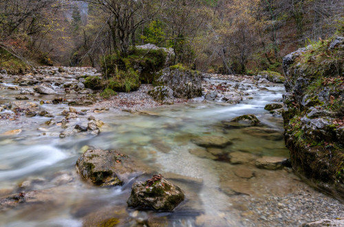 Slika potoka, ki teče v soteski. Ob strugi potoka so večje in manjše skale. 