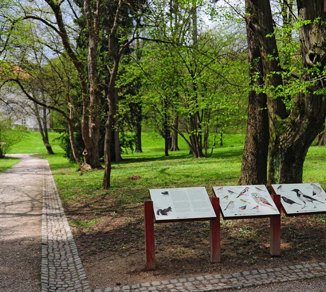 Pannelli informativi con descrizioni degli uccelli nel parco.